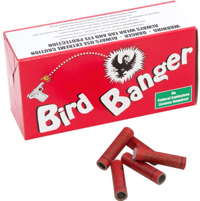 birdbanger Image
